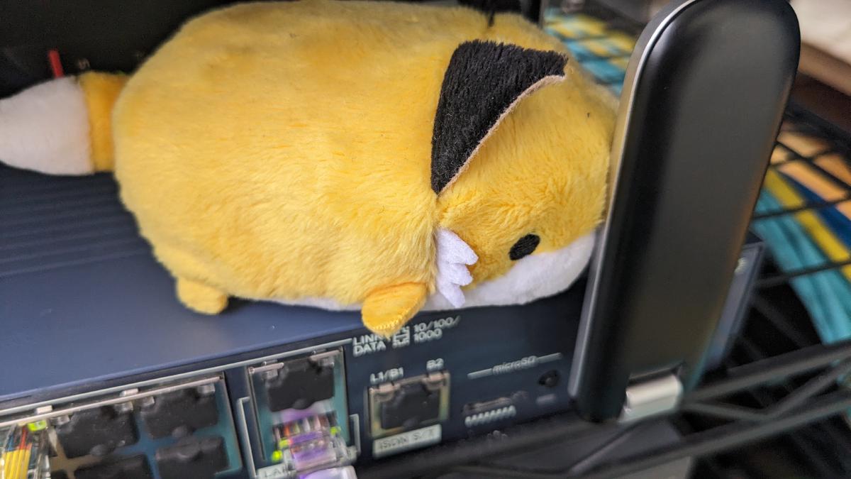 RTX1200+UX302NCでpovo回線を収容する